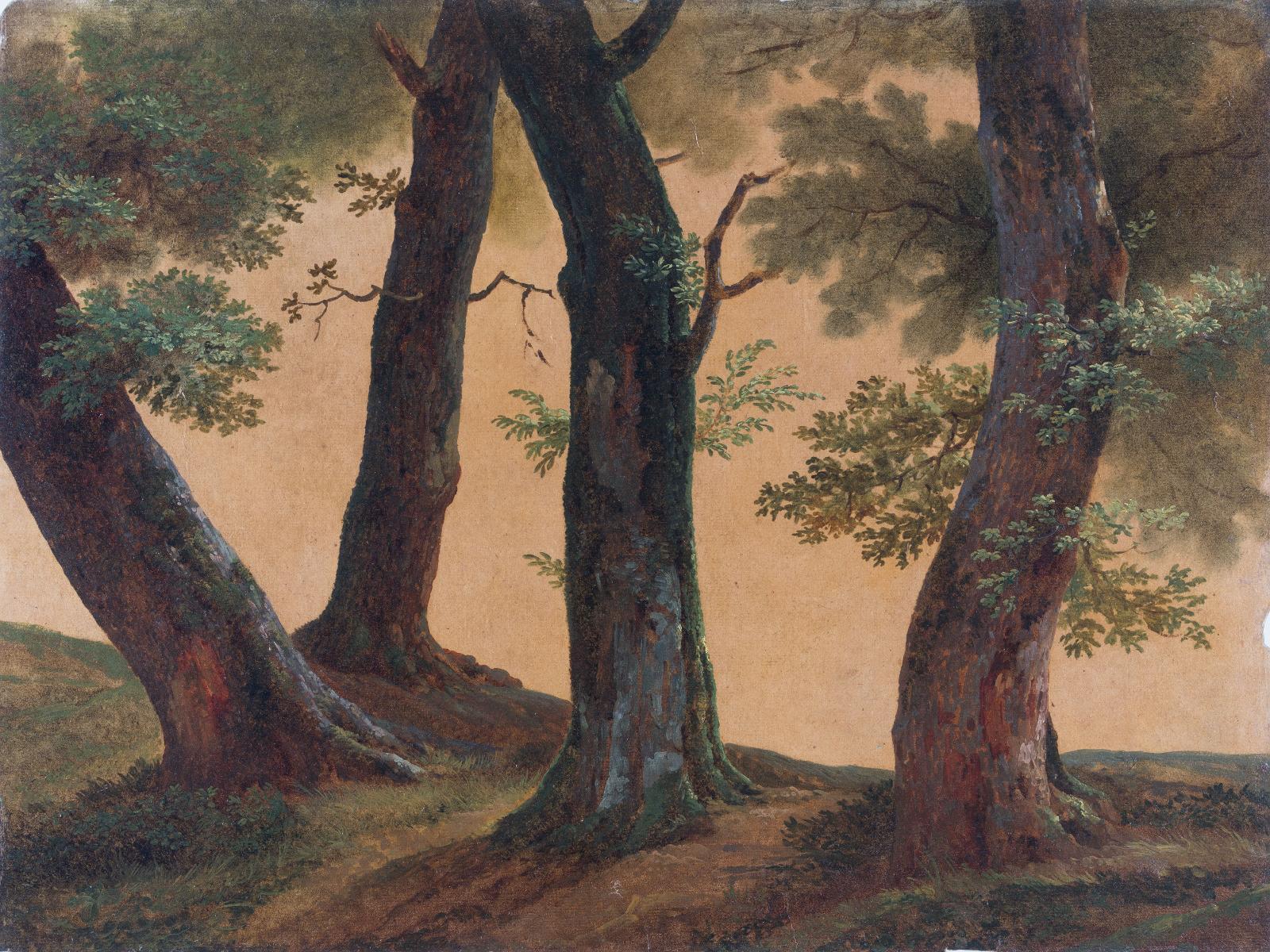 Etude pour quatre arbres