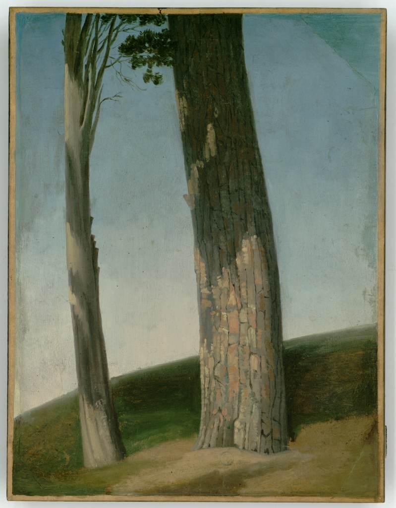 Etude d'arbres